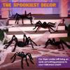 imageJOYIN 5 Packs Halloween Decorations Outdoor Giant Spiders Large Black Hairy Spider Set with Different Size for Halloween Outside Decor Lawn Yard Indoor Decor35quot 30quot 24quot 20quot 12quot