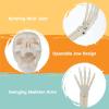 imageJOYIN 5 Pcs Halloween Skeleton Decorations Outdoor Life Size Skeleton Yard Stakes Groundbreaker Skulls Decor for Graveyard Yard Lawn Garden Ground Party SuppliesLED Realistic Skeleton