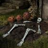 imageJOYIN 5 Pcs Halloween Skeleton Decorations Outdoor Life Size Skeleton Yard Stakes Groundbreaker Skulls Decor for Graveyard Yard Lawn Garden Ground Party SuppliesRealistic Skeleton