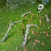 imageJOYIN 5 Pcs Halloween Skeleton Decorations Outdoor Life Size Skeleton Yard Stakes Groundbreaker Skulls Decor for Graveyard Yard Lawn Garden Ground Party SuppliesRealistic Skeleton