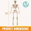 imageJOYIN 69 FT Halloween Posable Skeleton Life Size Voice Sensing Blink Eyes Moving Jaw Giant Skeletons Bones Full Body Movable Joints for Indoor Outdoor Halloween Party Decoration Hounted House Prop