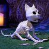 imageJOYIN Cat Skeleton Halloween Decorations 8 Inch Plastic Animal Skeletons with Movable Posable Joints Spooky for Outdoor Indoor Yard Garden Lawn Patio Halloween Party Favors Decor