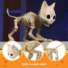 imageJOYIN Cat Skeleton Halloween Decorations 8 Inch Plastic Animal Skeletons with Movable Posable Joints Spooky for Outdoor Indoor Yard Garden Lawn Patio Halloween Party Favors Decor