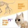 imageJOYIN Cat Skeleton Halloween Decorations 8 Inch Plastic Animal Skeletons with Movable Posable Joints Spooky for Outdoor Indoor Yard Garden Lawn Patio Halloween Party Favors Decor