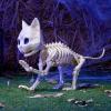 imageJOYIN Cat Skeleton Halloween Decorations 8 Inch Plastic Animal Skeletons with Movable Posable Joints Spooky for Outdoor Indoor Yard Garden Lawn Patio Halloween Party Favors Decor