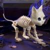 imageJOYIN Cat Skeleton Halloween Decorations 8 Inch Plastic Animal Skeletons with Movable Posable Joints Spooky for Outdoor Indoor Yard Garden Lawn Patio Halloween Party Favors Decor