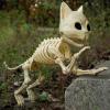 imageJOYIN Cat Skeleton Halloween Decorations 8 Inch Plastic Animal Skeletons with Movable Posable Joints Spooky for Outdoor Indoor Yard Garden Lawn Patio Halloween Party Favors Decor