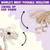imageJOYIN Dragon Skeleton Halloween Decoration 236quot Roaring MistSpraying Dragon with Wings LED Posable Joints Sound Motion Activated Animal Skeleton Animatronic for Haunted House Battery Operated