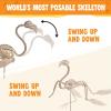 imageJOYIN Flamingo Skeleton Halloween Decorations 276 Inch Tall Spooky Flamingo Posable Animal Skeleton with Movable Joints for Halloween Indoor Outdoor Yard Garden Lawn Patio Prop Decor