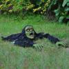 imageJOYIN Halloween Decoration Outdoor Zombie Groundbreaker Halloween Outside Zombie Decor with Sound and Flashing Eyes Scary Groundbreaker for Yard Lawn Graveyard Decorations Haunted House Prop