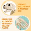 imageJOYIN Halloween Golden Retriever Skeleton 34 Animal Dog Plastic Skeleton with Movable Posable Joints for Haunted Houses Halloween Decorations Graveyard Scenes Outdoor Indoor Garden Party Decor