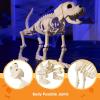 imageJOYIN Halloween Golden Retriever Skeleton 34 Animal Dog Plastic Skeleton with Movable Posable Joints for Haunted Houses Halloween Decorations Graveyard Scenes Outdoor Indoor Garden Party Decor