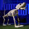 imageJOYIN Halloween Golden Retriever Skeleton 34 Animal Dog Plastic Skeleton with Movable Posable Joints for Haunted Houses Halloween Decorations Graveyard Scenes Outdoor Indoor Garden Party Decor