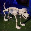 imageJOYIN Halloween Golden Retriever Skeleton 34 Animal Dog Plastic Skeleton with Movable Posable Joints for Haunted Houses Halloween Decorations Graveyard Scenes Outdoor Indoor Garden Party Decor