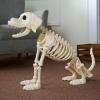 imageJOYIN Halloween Golden Retriever Skeleton 34 Animal Dog Plastic Skeleton with Movable Posable Joints for Haunted Houses Halloween Decorations Graveyard Scenes Outdoor Indoor Garden Party Decor