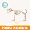 imageJOYIN Halloween Golden Retriever Skeleton 34 Animal Dog Plastic Skeleton with Movable Posable Joints for Haunted Houses Halloween Decorations Graveyard Scenes Outdoor Indoor Garden Party Decor