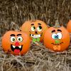 imageJOYIN Halloween Make 40 Faces Pumpkin Decorating Stickers with 18 Sticker Sheets in 12 Different Designs and Sizes Party Supplies Trick or Treat Party Favors53in