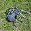 imageJOYIN Halloween Outdoor Decorations Giant Spider 45 Scary Large Spider Halloween Decor Outside Indoor Party Supplies Yard Lawn Garden Haunted House Prop