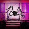 imageJOYIN Halloween Outdoor Decorations Giant Spider 5 Ft Large Spider for Yard Lawn Garden Patio Scary Halloween Outside Decor Indoor Haunted House Prop and Home Party Decor BlackBlack