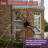 imageJOYIN Halloween Spider Web and 59 Giant Spider 164 x 157 Ft Large Triangular Web for Outdoor Decoration Giant Spiderweb for Patio Garden Yard Haunted House Decor Indoor Home Party SuppliesSpider with Web