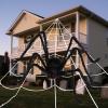 imageJOYIN Halloween Spider Web and 59 Giant Spider 164 x 157 Ft Large Triangular Web for Outdoor Decoration Giant Spiderweb for Patio Garden Yard Haunted House Decor Indoor Home Party SuppliesSpider with Web