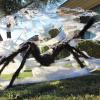 imageJOYIN Halloween Spider Web and 59 Giant Spider 164 x 157 Ft Large Triangular Web for Outdoor Decoration Giant Spiderweb for Patio Garden Yard Haunted House Decor Indoor Home Party SuppliesSpider with Cobweb