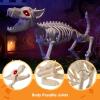 imageJOYIN Howling Wolf Skeletons Halloween Decorations 34 Skeleton Dog with Red LED Eyes AutoChin Opening and Closing Movable Posable Joints Animal Skeleton for Outdoor Indoor Garden Graveyard Decor