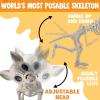imageJOYIN Plastic Chihuahua Dog Skeleton Halloween Decorations 126 inches Plastic Puppy Bones Skeleton with Posable Joints for Halloween Indoor Outdoor Graveyard Party Decor