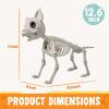 imageJOYIN Plastic Chihuahua Dog Skeleton Halloween Decorations 126 inches Plastic Puppy Bones Skeleton with Posable Joints for Halloween Indoor Outdoor Graveyard Party Decor