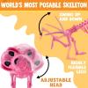 imageJOYIN Posable Dog Skeleton Halloween Decoration Full Body Movable Joints Realistic Skeleton Puppy for Indoor Outdoor Graveyard Party Haunted House Party Decor98 X 47 X 126