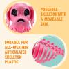 imageJOYIN Posable Dog Skeleton Halloween Decoration Full Body Movable Joints Realistic Skeleton Puppy for Indoor Outdoor Graveyard Party Haunted House Party Decor98 X 47 X 126