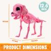 imageJOYIN Posable Dog Skeleton Halloween Decoration Full Body Movable Joints Realistic Skeleton Puppy for Indoor Outdoor Graveyard Party Haunted House Party Decor98 X 47 X 126