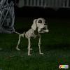 imageJOYIN Posable Halloween Dog Skeleton Full Body Posable Joints Realistic Skeleton Puppy with Movable Joints for Halloween Decoration Graveyard Party Decor 98 X 47 X 126