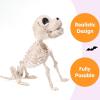 imageJOYIN Posable Halloween Dog Skeleton Full Body Posable Joints Realistic Skeleton Puppy with Movable Joints for Halloween Decoration Graveyard Party Decor 98 X 47 X 126