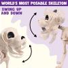 imageJOYIN Posable Halloween Dog Skeleton Full Body Posable Joints Realistic Skeleton Puppy with Movable Joints for Halloween Decoration Graveyard Party Decor 98 X 47 X 126
