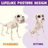 imageJOYIN Posable Halloween Dog Skeleton Full Body Posable Joints Realistic Skeleton Puppy with Movable Joints for Halloween Decoration Graveyard Party Decor 98 X 47 X 126