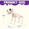 imageJOYIN Posable Halloween Dog Skeleton Full Body Posable Joints Realistic Skeleton Puppy with Movable Joints for Halloween Decoration Graveyard Party Decor 98 X 47 X 126