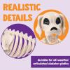 imageJOYIN Posable Halloween Dog Skeleton Full Body Posable Joints Realistic Skeleton Puppy with Movable Joints for Halloween Decoration Graveyard Party Decor 98 X 47 X 126