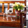 imageJOYIN Posable Halloween Dog Skeleton Full Body Posable Joints Realistic Skeleton Puppy with Movable Joints for Halloween Decoration Graveyard Party Decor 98 X 47 X 126