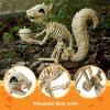 imageJOYIN Squirrel Skeleton Halloween Decoration 91 Inch Animal Posable Skeletons Movable Joints Plastic Bones with Pine Cones for Halloween Haunted House Decor Spooky Scene Garden Patio Party Prop