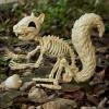 imageJOYIN Squirrel Skeleton Halloween Decoration 91 Inch Animal Posable Skeletons Movable Joints Plastic Bones with Pine Cones for Halloween Haunted House Decor Spooky Scene Garden Patio Party Prop