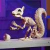 imageJOYIN Squirrel Skeleton Halloween Decoration 91 Inch Animal Posable Skeletons Movable Joints Plastic Bones with Pine Cones for Halloween Haunted House Decor Spooky Scene Garden Patio Party Prop