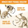imageJOYIN Squirrel Skeleton Halloween Decoration 91 Inch Animal Posable Skeletons Movable Joints Plastic Bones with Pine Cones for Halloween Haunted House Decor Spooky Scene Garden Patio Party Prop