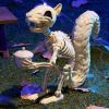 imageJOYIN Squirrel Skeleton Halloween Decoration 91 Inch Animal Posable Skeletons Movable Joints Plastic Bones with Pine Cones for Halloween Haunted House Decor Spooky Scene Garden Patio Party Prop