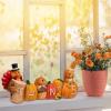 imageJOYIN Thanksgiving Pumpkin Turkey Tabletop Centerpiece Decor Resin Turkey Figurines Thanksgiving Decoration Fall Harvest Tabletop Indoor Kitchen Party Supplies Autumn Decor
