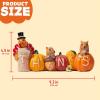 imageJOYIN Thanksgiving Pumpkin Turkey Tabletop Centerpiece Decor Resin Turkey Figurines Thanksgiving Decoration Fall Harvest Tabletop Indoor Kitchen Party Supplies Autumn Decor