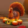 imageJOYIN Thanksgiving Turkey Candle Holders Thanksgiving Turkey Tabletop Centerpiece Decor Fall Centerpiece Table Decorations Tea Light Pumpkin Candle Holder Indoor Home Kitchen Autumn Decor