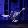 imageJOYIN Vulture Skeleton Halloween Decorations 197 inch Posable Animal Skeletons with Movable Joints for Indoor Outdoor Yard Garden Lawn Photo Props Decor Trick or Treat Spooky Scene Party Favors