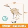 imageJOYIN Vulture Skeleton Halloween Decorations 197 inch Posable Animal Skeletons with Movable Joints for Indoor Outdoor Yard Garden Lawn Photo Props Decor Trick or Treat Spooky Scene Party Favors