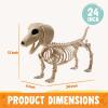 imageJOYIN Wiener Dog Skeleton 24 Plastic Animal Posable Skeleton Halloween Decorations with Movable Joints for Graveyard Scenes Haunted House Prop Party Decor Spooky Indoor Outdoor Decorations